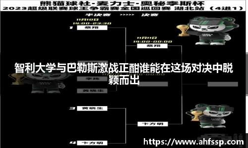 开云电竞官网