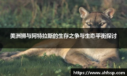 美洲狮与阿特拉斯的生存之争与生态平衡探讨