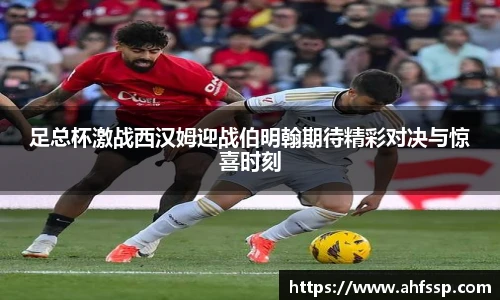 米乐yy易游体育